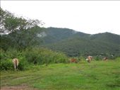 Scenery around Pai: by sglass, Views[156]