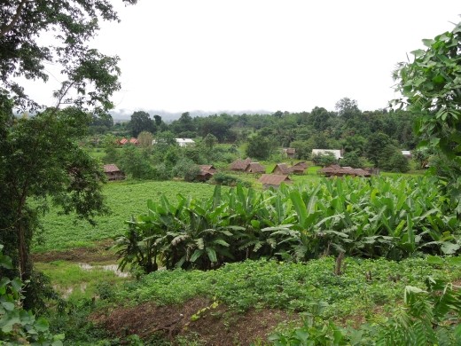 After our scheduled elephant encounter fell through, we decided to go for a hike around Pai instead