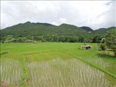 Hiking through rice paddies: by sglass, Views[152]
