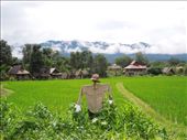 Traditional houses in the back, scarecrow in the front: by sglass, Views[119]