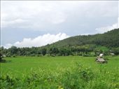 Pai is beautiful: by sglass, Views[143]