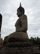 by sglass, Views[223]