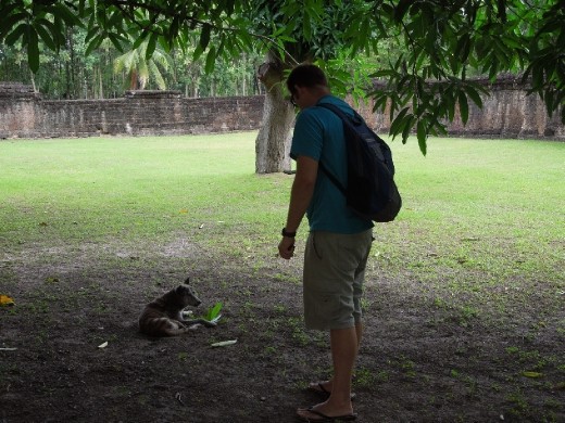 Stray dogs everywhere (as usual)... Joe tries to befriend one