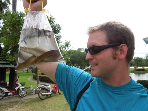 We came to a pond where a woman was selling baggies containing 1 of each: a frog, fish, and eel. Joe buys a bag.
