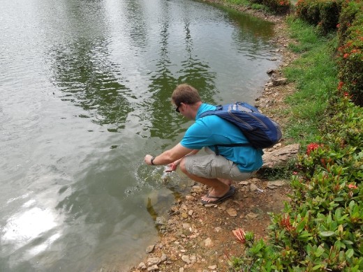 Joe sets his three animals free. The only problem is the pond is so full of these creatures that the surface was in a constant state of turmoil from all of them splashing around over eachother-- NOT a good habitat for them. The woman just re-catches and resells them.
