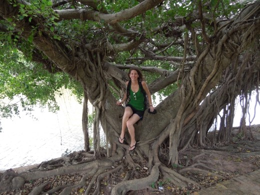 Tree picture for Mrs. Epstein!