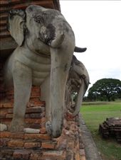 by sglass, Views[138]