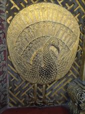 Golden peacock!: by sglass, Views[226]