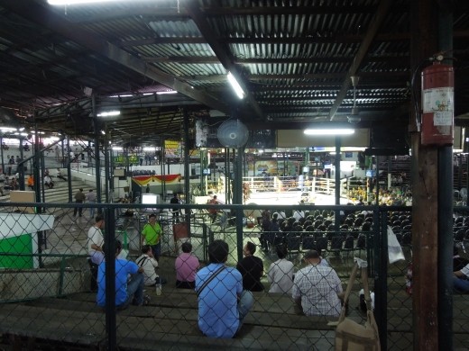 We go to see a Thai Boxing match! Interesting stadium...