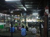 We go to see a Thai Boxing match! Interesting stadium...: by sglass, Views[234]