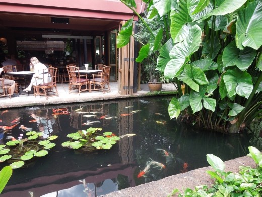 Very peaceful koi pond