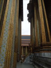 by sglass, Views[189]