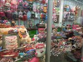 Pet stuff for sale in the market. Just down the hall you could get the pets!: by sglass, Views[126]