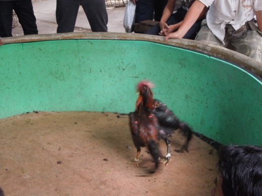 This was kind of sad to watch.