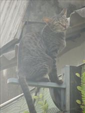 by sglass, Views[99]