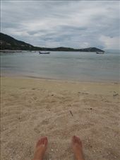 by sglass, Views[152]