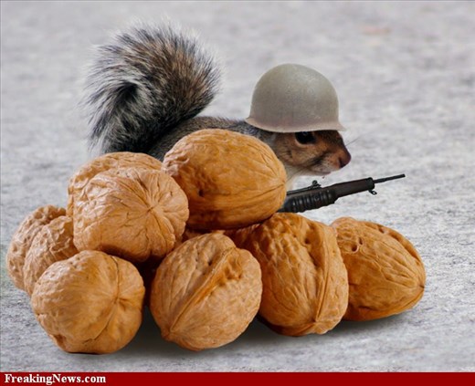 How do you like deez nuts?