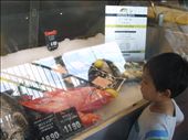 Their merchandise is on ice for all to see and buy.: by sha_singapore, Views[240]