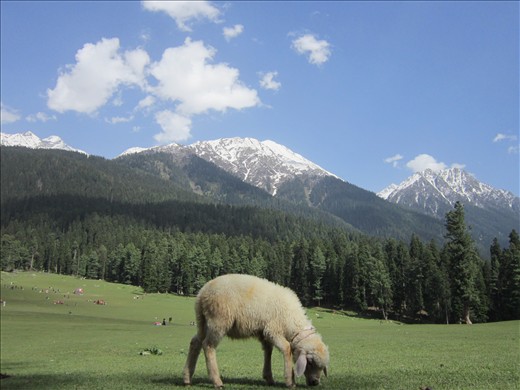 Who knows what is there in other side, priority to livelihood in Kashmir.