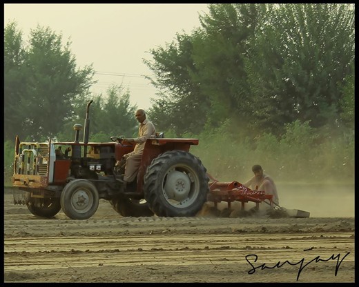 Punjab life