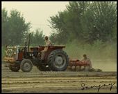 Punjab life: by shahzad, Views[453]