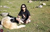 Me at kheerganga in company of local dogs at HP India : by shailendrarana, Views[208]
