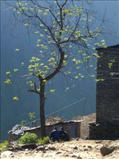 Breakfast chat, Sirdasi: by shane-erickson, Views[241]