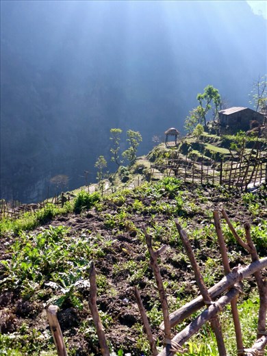 Hillside farm.  Lapubesi