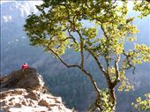Monk resting on trail.  With cellphone.: by shane-erickson, Views[290]