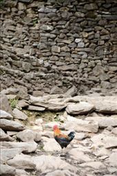 Lunch in a box: by shane-erickson, Views[190]