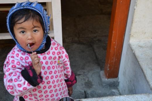 Manaslu Welcome Committee