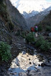 Twin Peaks: by shane-erickson, Views[155]