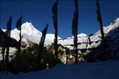 Manaslu Morning: by shane-erickson, Views[226]
