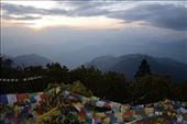 Prayer Flag Forest, Poon Hill: by shane-erickson, Views[365]