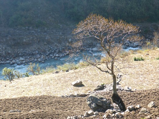 Sirdibas morning light