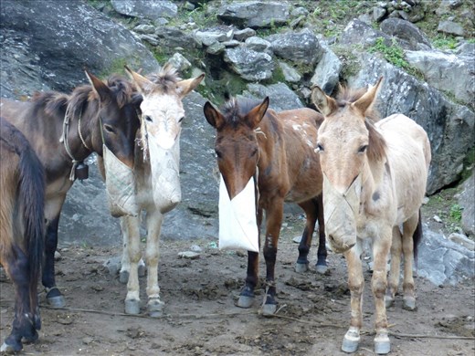 Snack time at Phillim