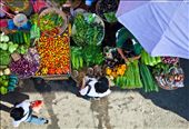 Vegetable Stall, Bicutan Market: by shanelawlor, Views[975]