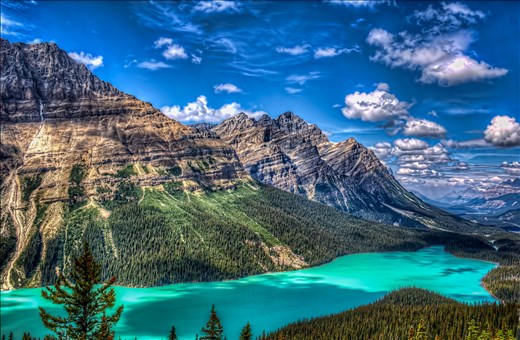 Peyto Lake of the Canadian Rockies
