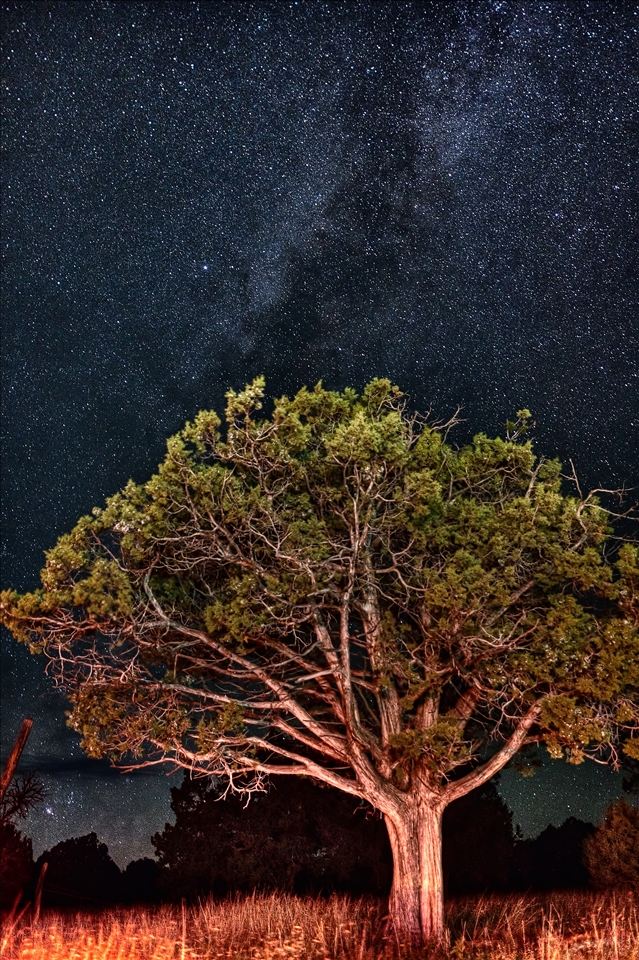 The stars in Arizona