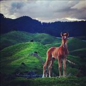 Spring joy: by shannongregorynz, Views[257]