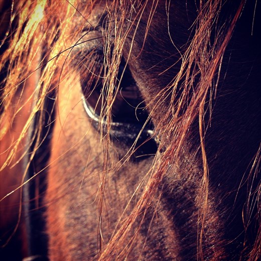 Looking into the eye of a beautiful soul