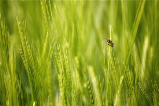 Curious little friend