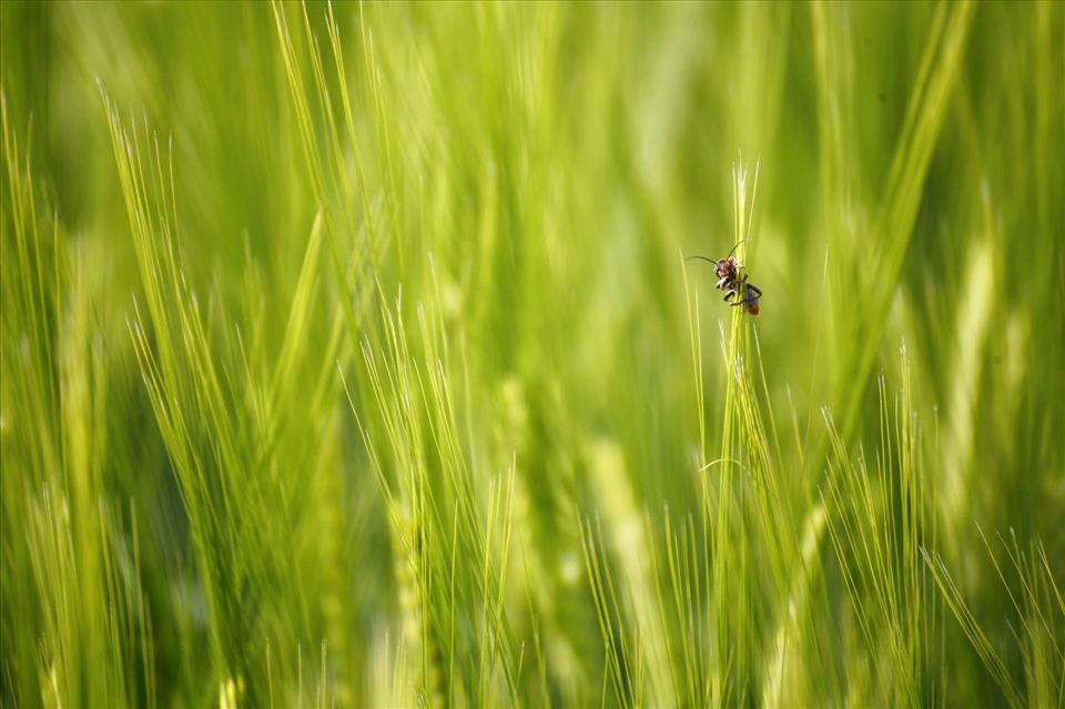Curious little friend