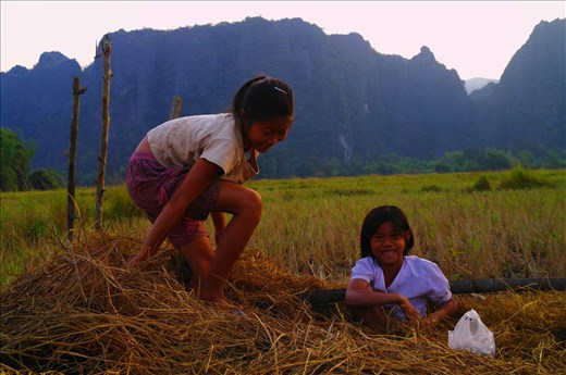 Foraging for mushrooms at dusk