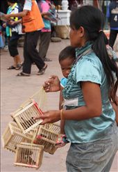 A way to make a living to feed her children.: by sharongittings, Views[248]