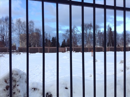 Not the time of year to turn your toes up!