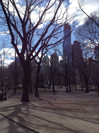 Central Park, gloomy in the winter