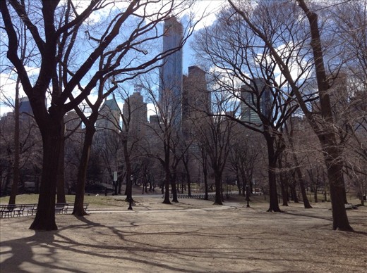 Central Park 