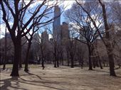 Central Park : by sharonleigh, Views[143]