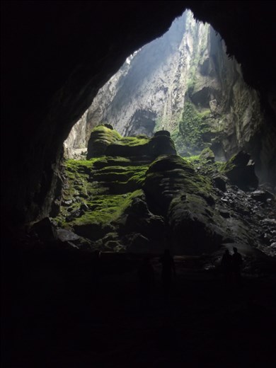The unexpected jungle in the cave. 'Watch out for Dinosaurs'.